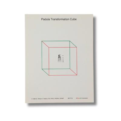 PADULA'S TRANSFORMATION CUBE